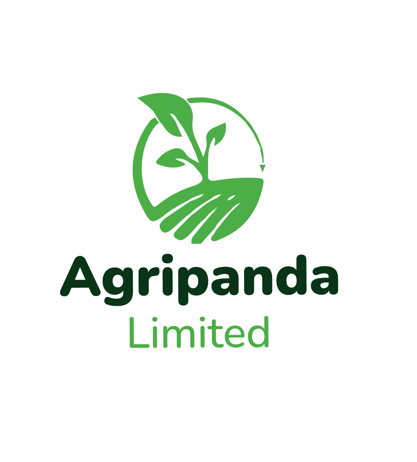 Web Design In Kenya Agripanda Brand Logo 01